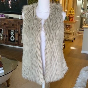 Vici Skies Are Blue Faux Fur Vest